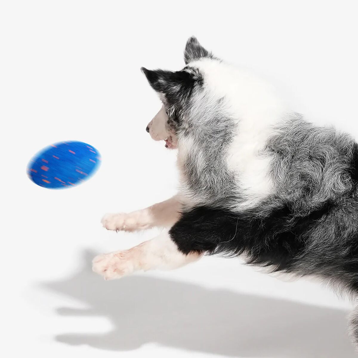 Cheerble Wicked Rugby Blue